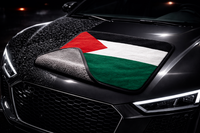 PREMIUM TROCKENTUCH PALÄSTINA 🇵🇸